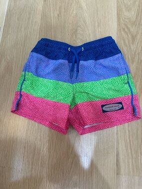 Vineyard Vines Blue, Purple, Green & Pink Striped Swim Shorts, Size 4
